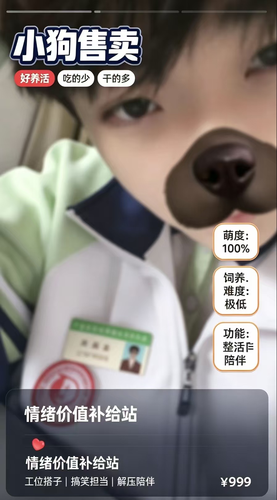 小狗陪伴解压趣味卡